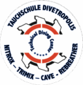 Divetropolis Logo